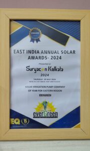 best solar pump company of the year
